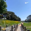 (주)쿱스토어 울산무거점 | 5월 한달 일상(울산현대, 삼성라이온즈, 집들이 조세호)