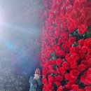 자이언트팩토리 이미지