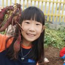 연안초등학교 이미지