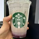 모니카 문 | 프렌즈 콜라보로 나온 스타벅스 모니카 문 아이스 얼그레이 베리 티 라떼 솔직 후기