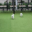 어뮤즈 호텔 이미지