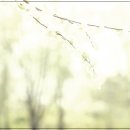 하나컴퍼니 이미지