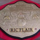 ━ (릭플레어 친필싸인) wCw World Heavyweight Champ Belt ━ 이미지