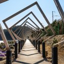 두리두리 이미지