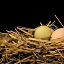 지푸라기 이미지