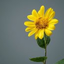 스마트폰 활용지도사1급 양성 과정 이미지