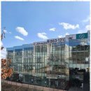 한양대청사태권도 이미지