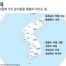정선아줌마순메밀부치기 | 부침개가 아니라 "지짐"이 근본 표준어다