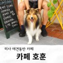 카페호훈 | 미사디저트카페 애견동반 유기농밀 베이글 카페호훈