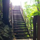 한그루민박 이미지