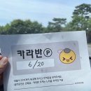 조용한 캠핑맛집 &lt;용인자연휴양림&gt; 카라반(02호) 숙박 후기 / 아이와 함께 오면 좋을 곳 &amp; 용인시민...