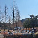 통영RCE세자트라센터 | 통영 아기랑 가볼만한곳 통영 세자트라숲