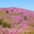 보성의료재단 이미지