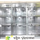 제천 그레이스 동물병원 이미지