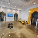 파주애견미용센터 이미지