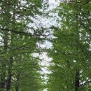 정보과학고 건너 이미지