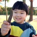 장안천가족휴게공원 이미지