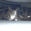 부경대학교 디자인관 이미지