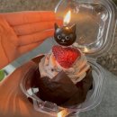 (주)아람푸드 | 닦아줄게 네 모든 게 새하얗게 다시 빛날 때까지