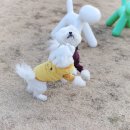 비숑마을펜션 이미지