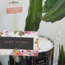 한양목련아파트 상가동 이미지