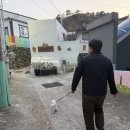거제도 애견동반 여행 강아지랑 가볼만한곳 코스 추천