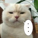 소풍7080라이브 | 우당탕탕 가을의 기록들 -1 :: 내생일,건강이슈