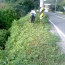 장곡3리 이미지