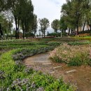 보강천1 이미지