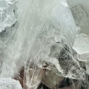 신진도수산