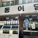 동어담 | 대구 수성구 상동 횟집 물회 회덮밥 '동어담'