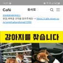 밀목주유소 이미지