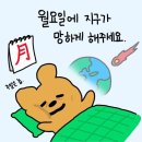 주간일기_6月 마지막週
