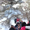 제주의 추억 이미지