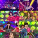 롤리폴리 이미지