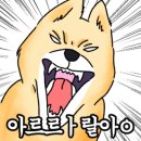 씻고가개 이미지