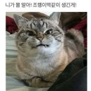밥플러스 성수역점 | 9월 1일 요크신 시티에서!!
