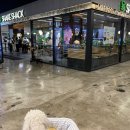 디딜리 | [2026 케이펫페어 서울] 코엑스 펫페어 제헌절 첫째날 오픈런한 비추 후기 | 삼성역에서 B2홀 가는 법