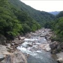 신흥교입구 이미지