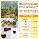 엘림농원 이미지