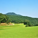 참밸리CC Daum카페