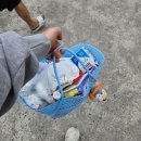 대주참숯찜질방 | 대구 근교 가볼만한곳: 성주 대주참숯가마 오픈런 후기! 가격부터 준비물 꿀팁까지