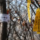 구리목1 이미지