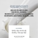 디어뭉치 이미지