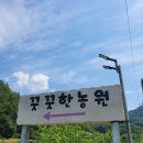 꿋꿋한농원 이미지