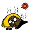 코끼리24시셀프세차 이미지