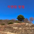 종교단체 자연장지 이미지