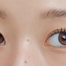 던브라운
