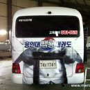 용인대 백룡태권도 이미지