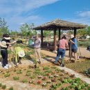 유기 농업기능사 국가기술자격증 이미지